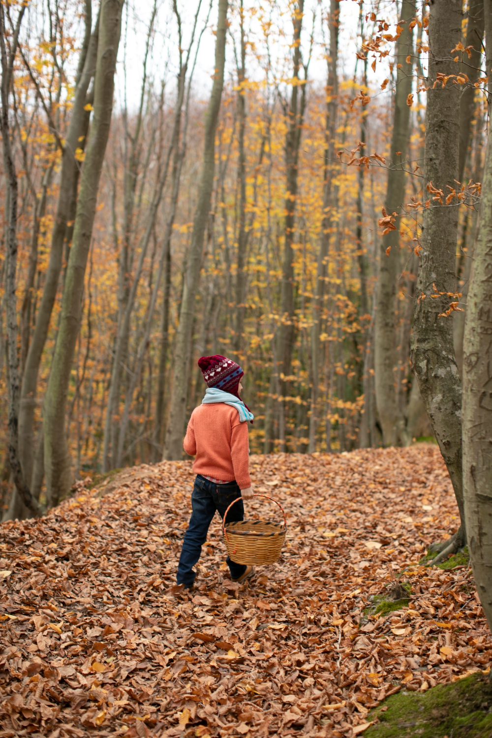 Raccolta castagne nel bosco